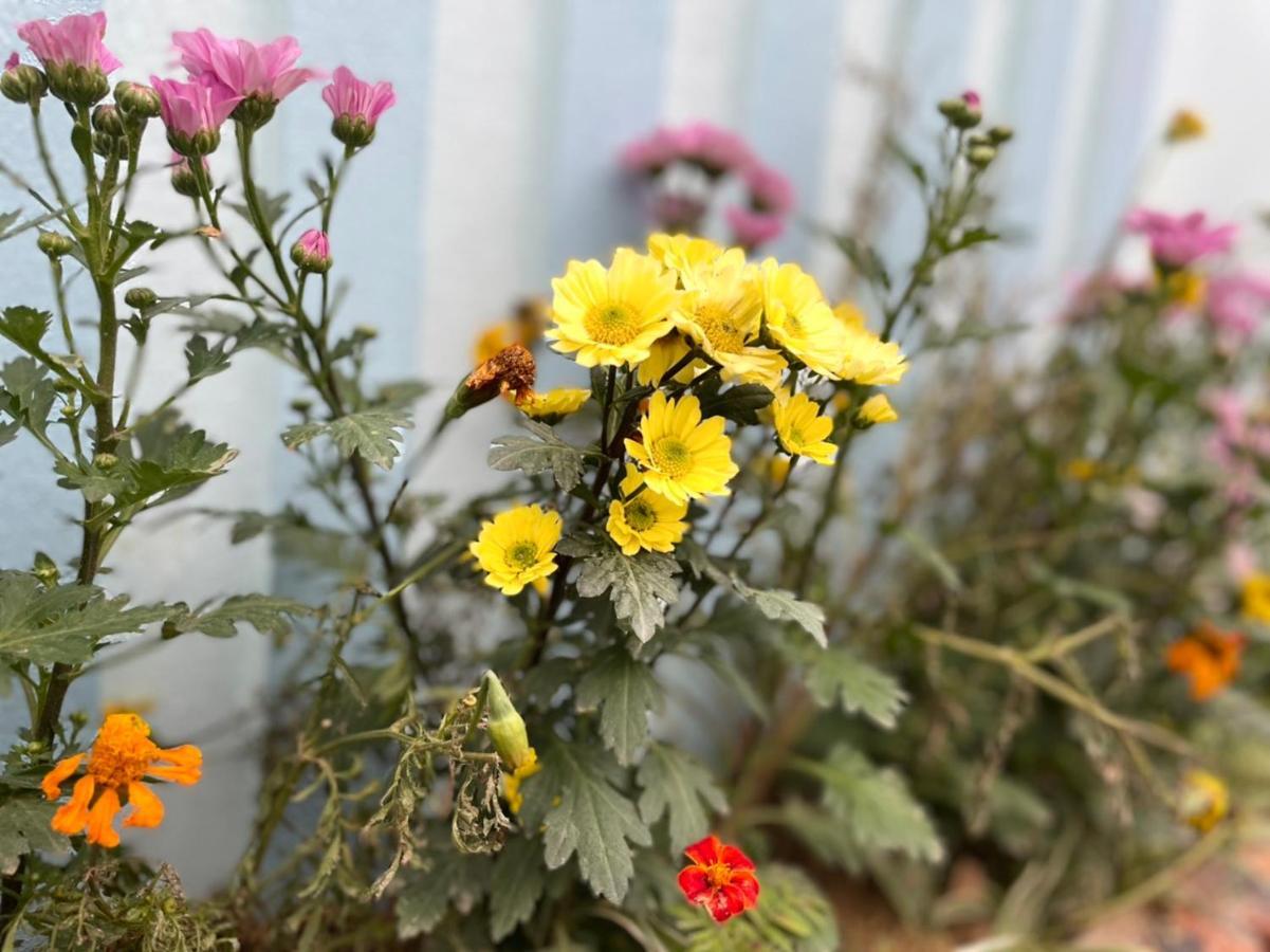 Вилла An Bungalow - Mai Chau Hoa Binh Экстерьер фото