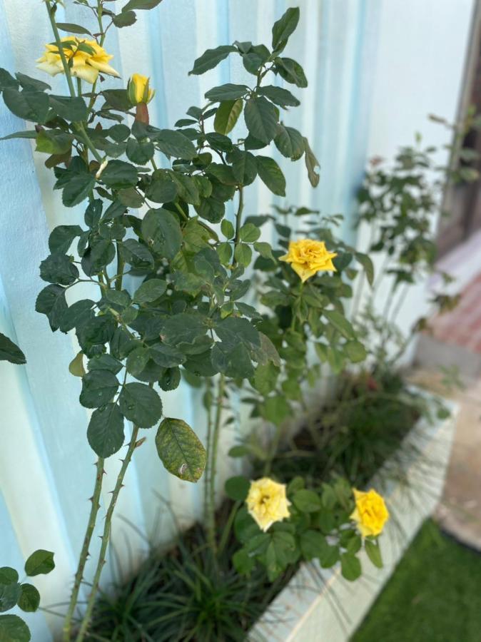Вилла An Bungalow - Mai Chau Hoa Binh Экстерьер фото